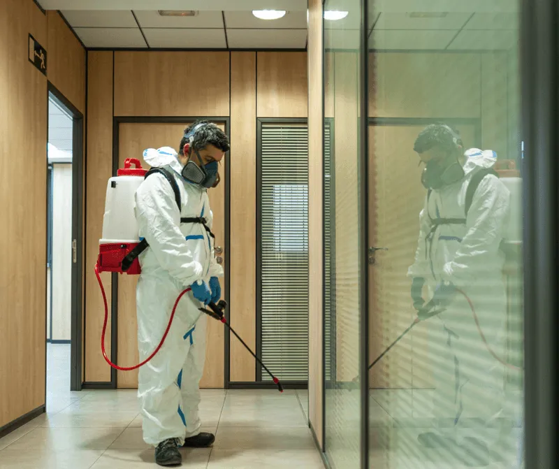 Specialist sanitizing an office with disinfectant spray